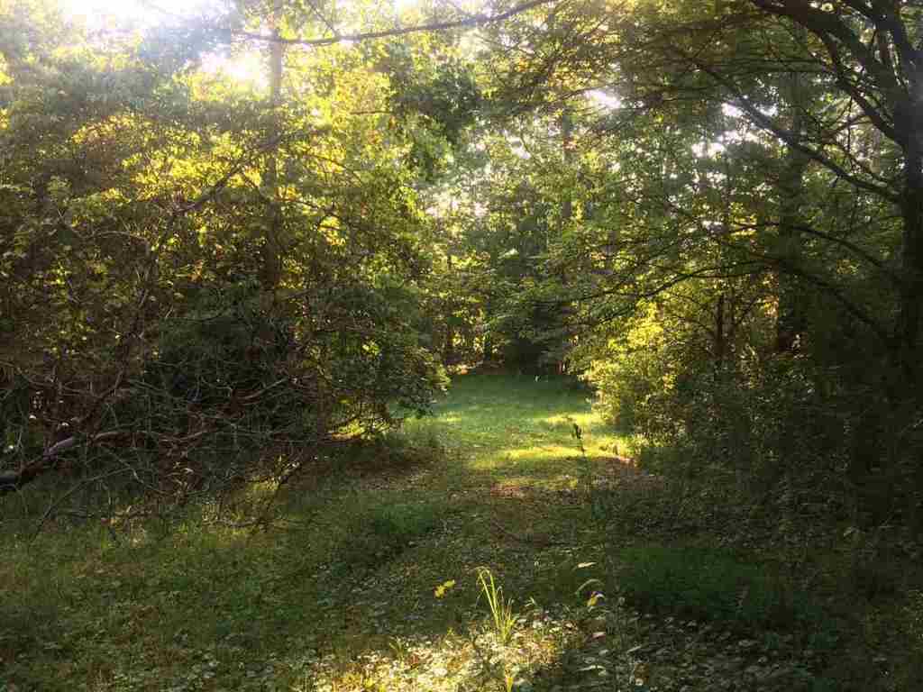 3.5-acres Redland Ranch Road, Unit CORNER OF REDLAND RANCH R Walhalla, SC 29691 - Photo 6 of 9 Gallery Image 6