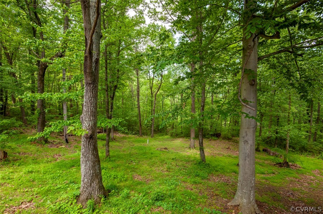 8655 Mission Home Road Free Union, VA 22940 - Photo 13 of 50 Gallery Image 13