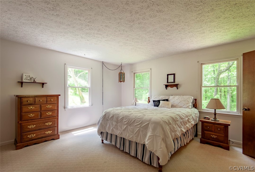 8655 Mission Home Road Free Union, VA 22940 - Photo 31 of 50 Gallery Image 31