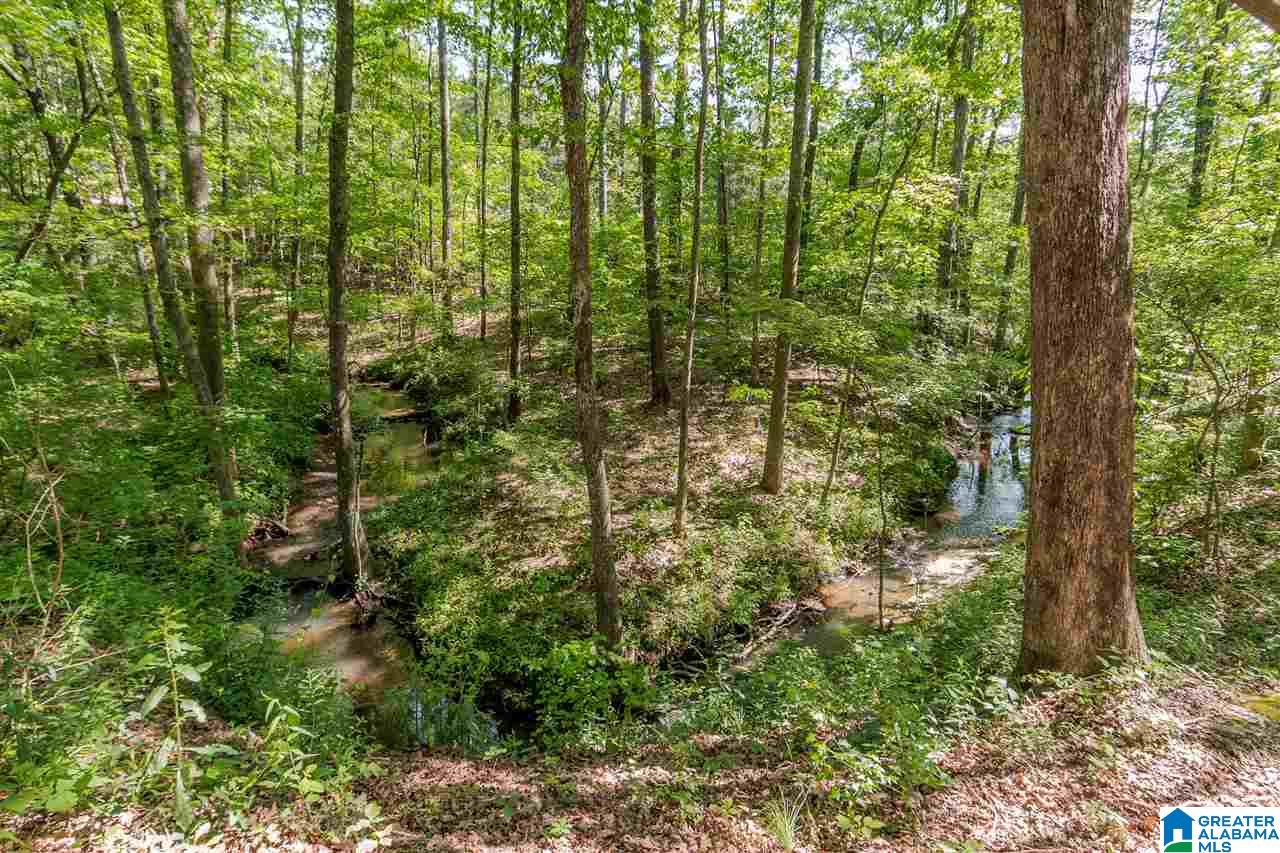 2764 Oakleaf Circle Helena, AL 35022 - Photo 37 of 38 Gallery Image 37