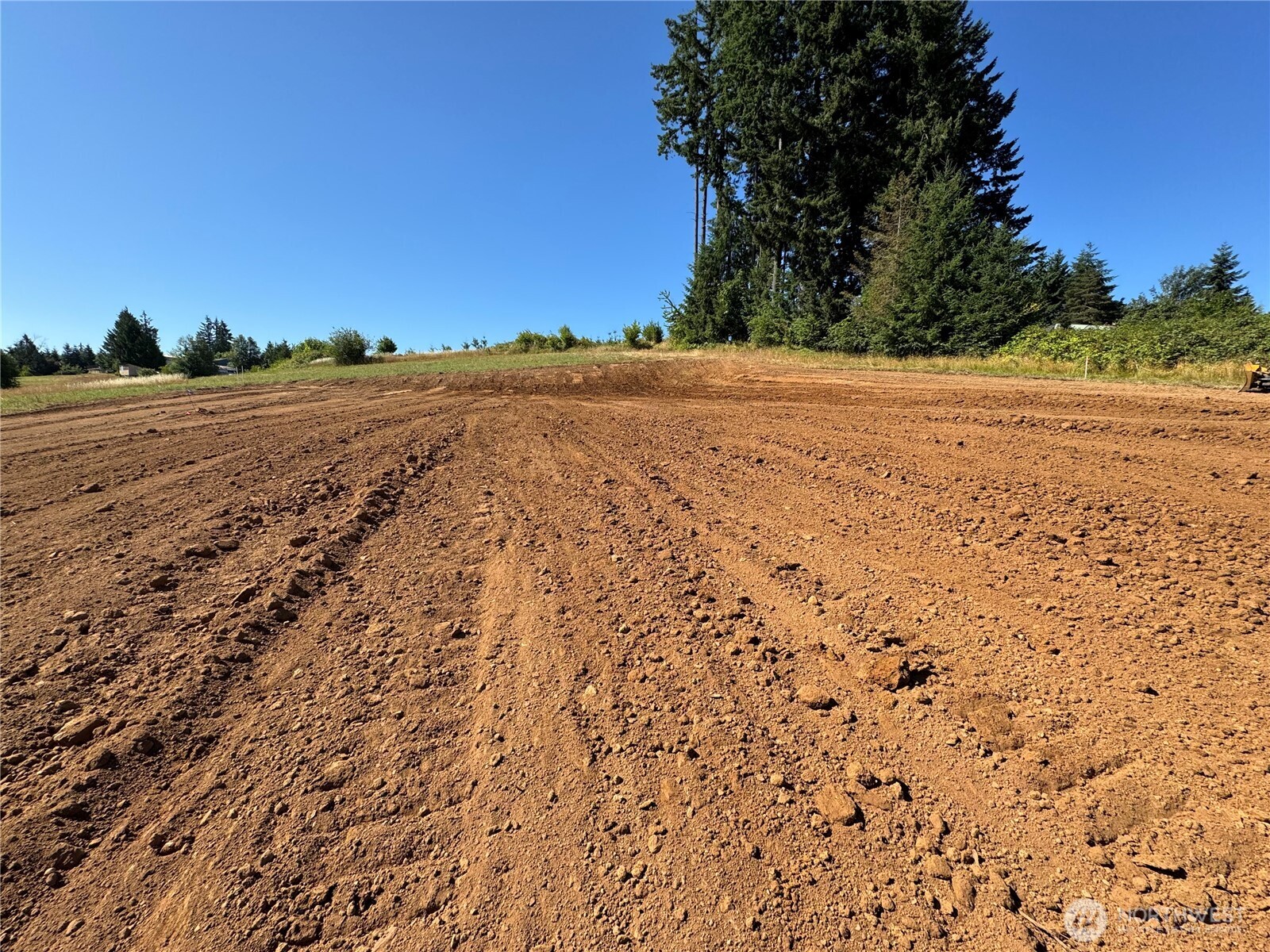 200 Lot A Fineview Chehalis, WA 98532 - Photo 28 of 31 a view of a yard with a tree