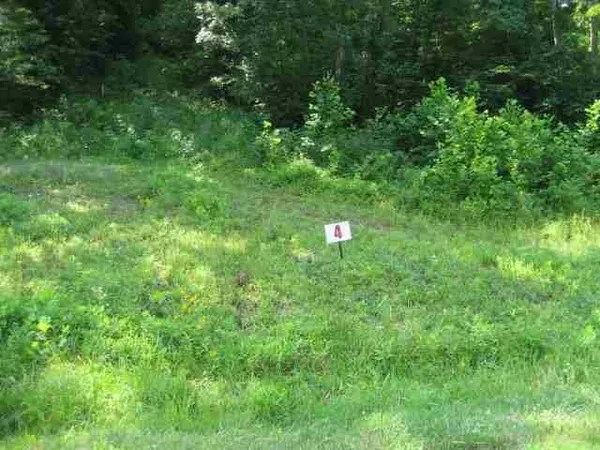 $20,000 | Lot #4 Short White Oak Road, Russell, KY 41169