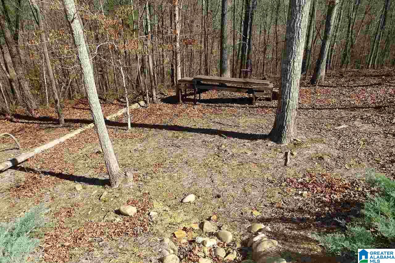 3945 Haddon Circle Birmingham, AL 35226 - Photo 40 of 47