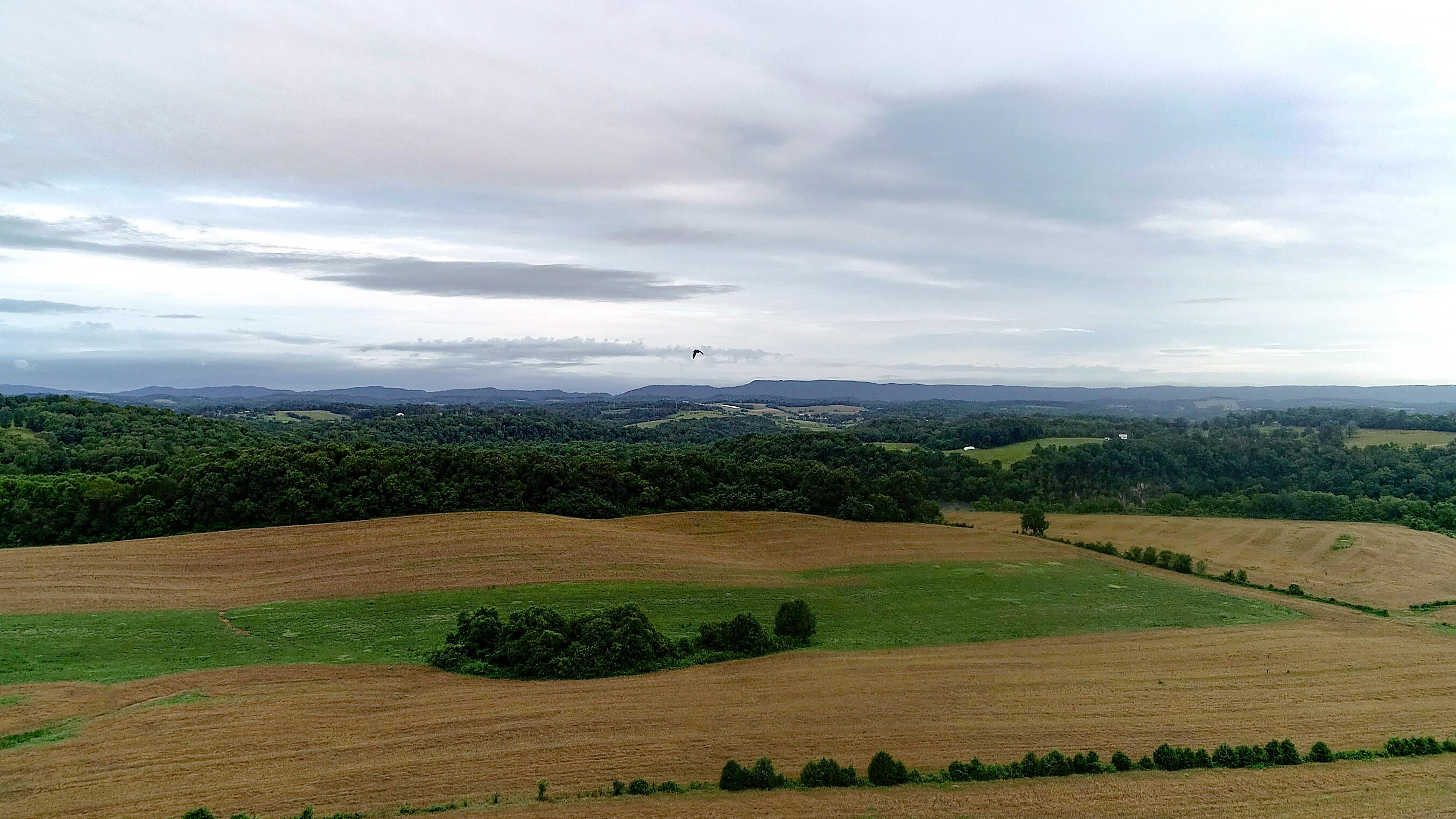 Noe Road New Market, TN 37820 - Photo 1 of 32 Panorama-wBird