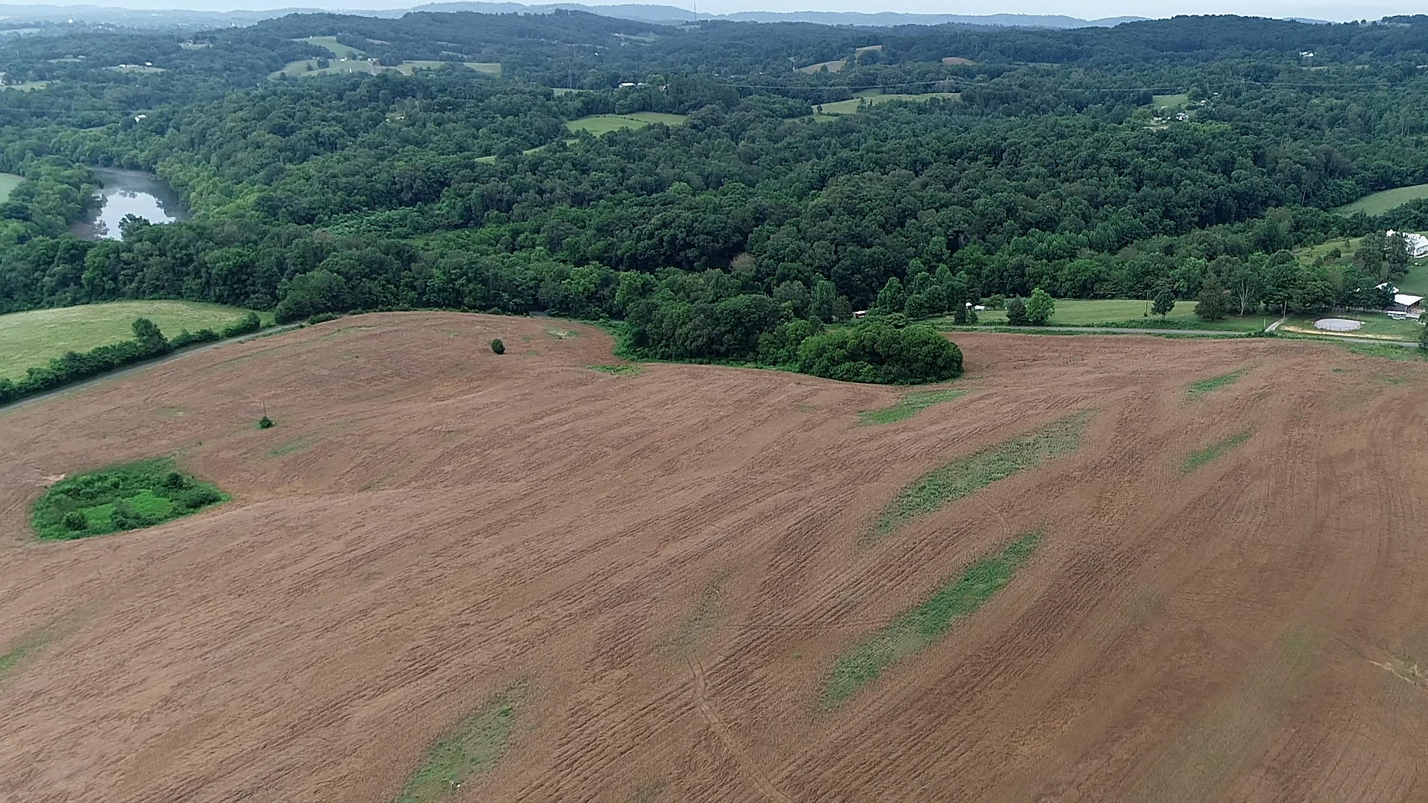 Noe Road New Market, TN 37820 - Photo 2 of 32 Aerial7-16