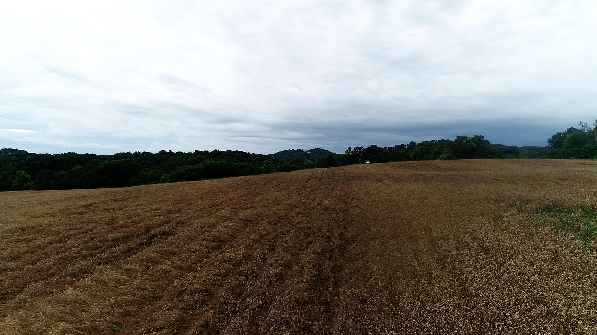 Noe Road New Market, TN 37820 - Photo 13 of 32 NoahRoad-1