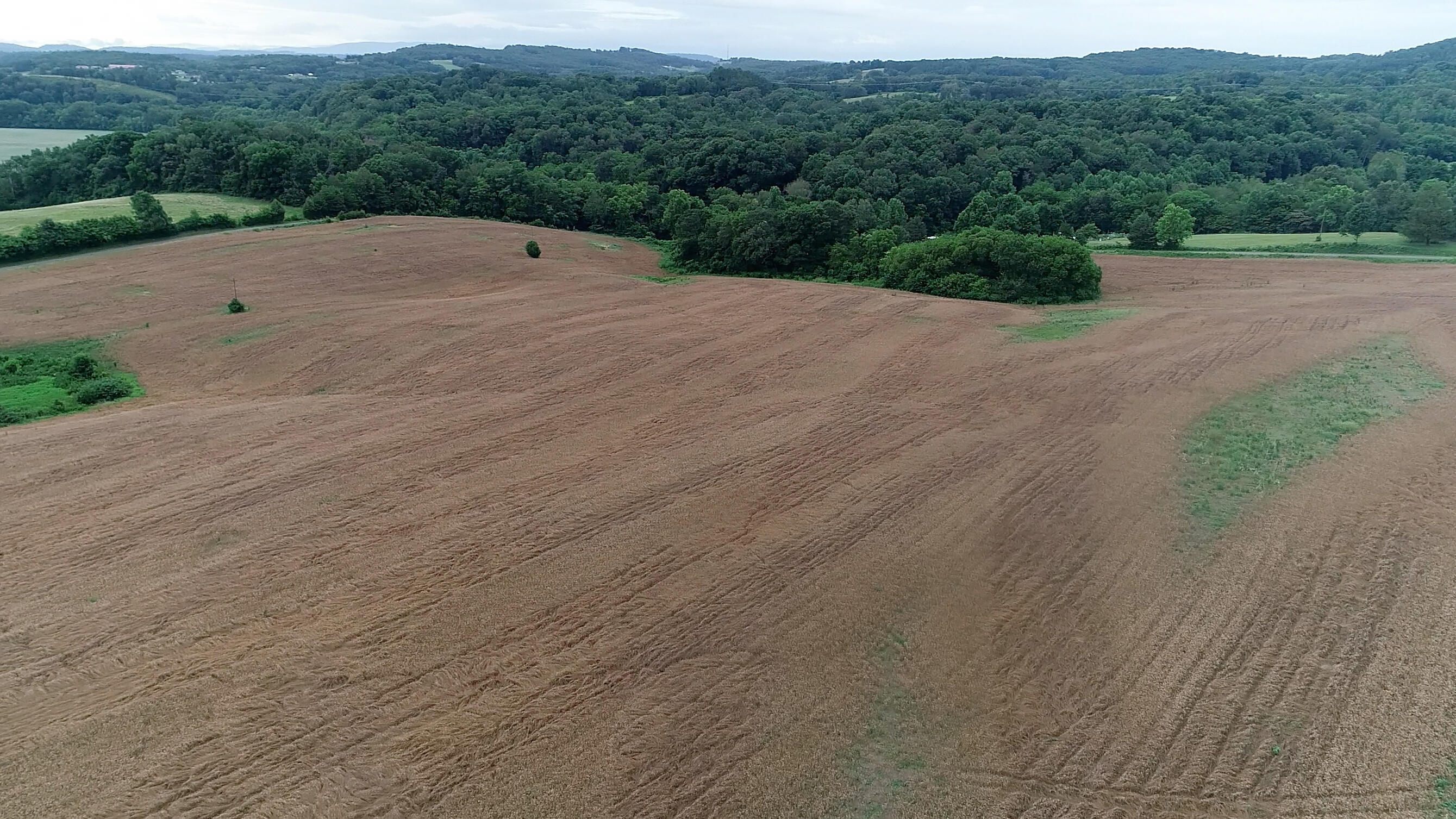Noe Road New Market, TN 37820 - Photo 18 of 32 NoahRoad-11