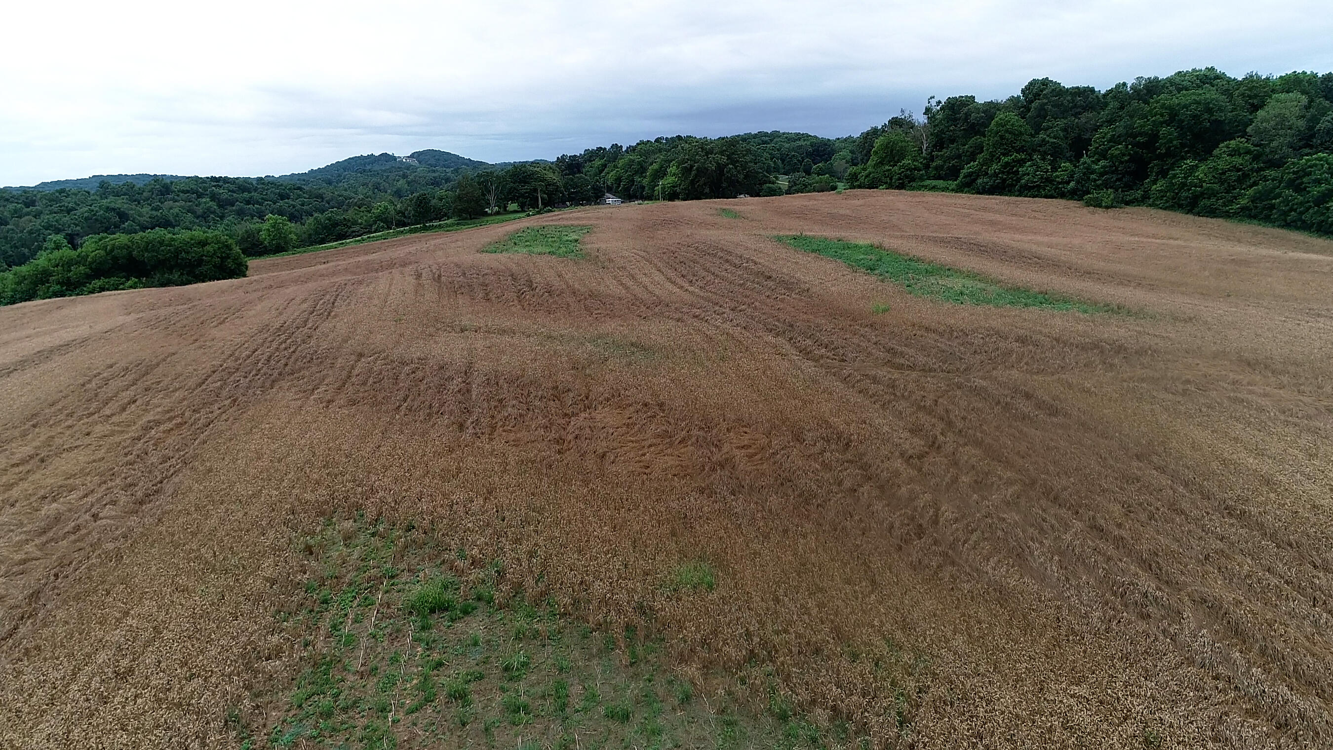 Noe Road New Market, TN 37820 - Photo 20 of 32 NoahRoad-13