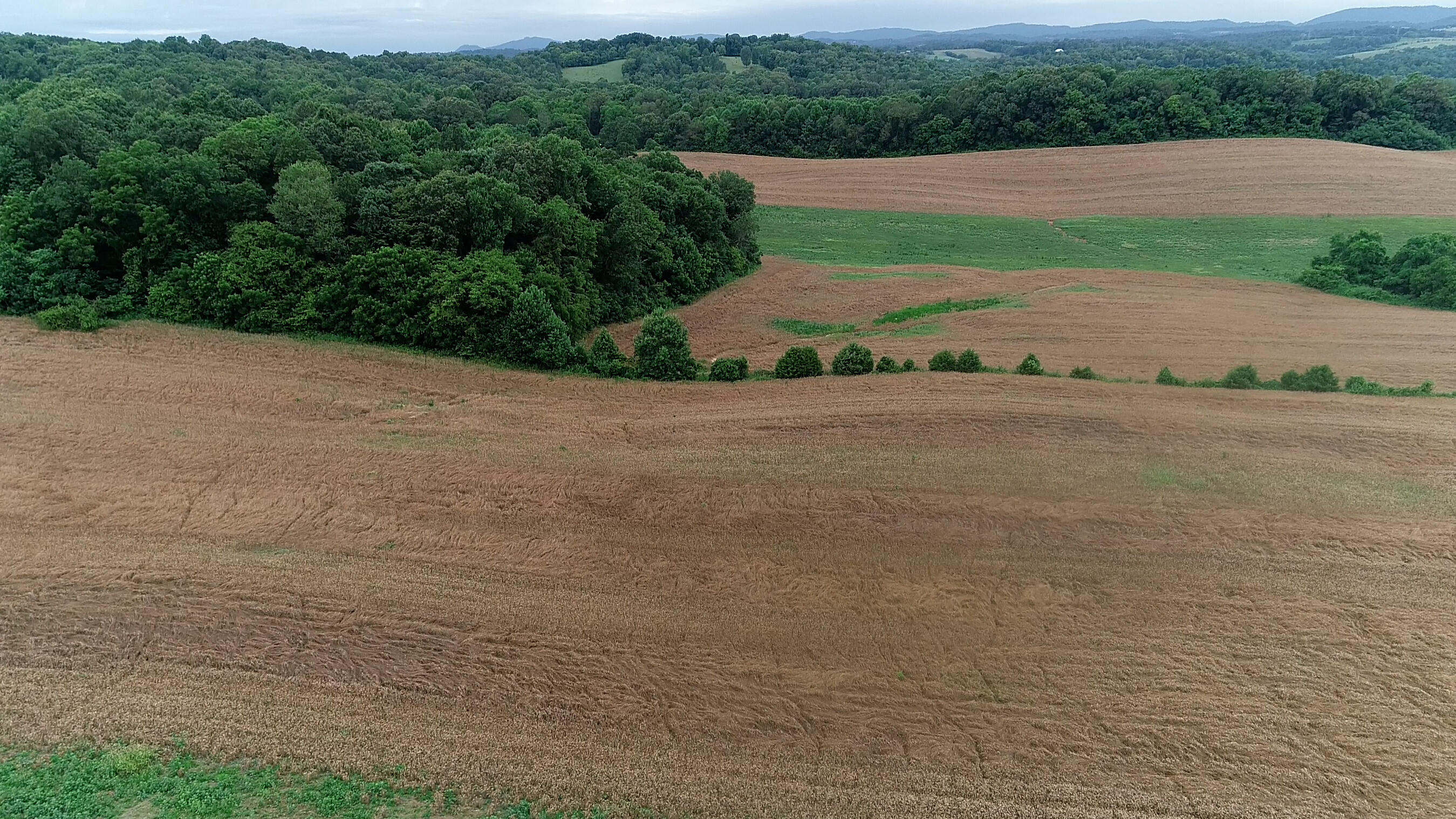Noe Road New Market, TN 37820 - Photo 21 of 32 NoahRoad-15