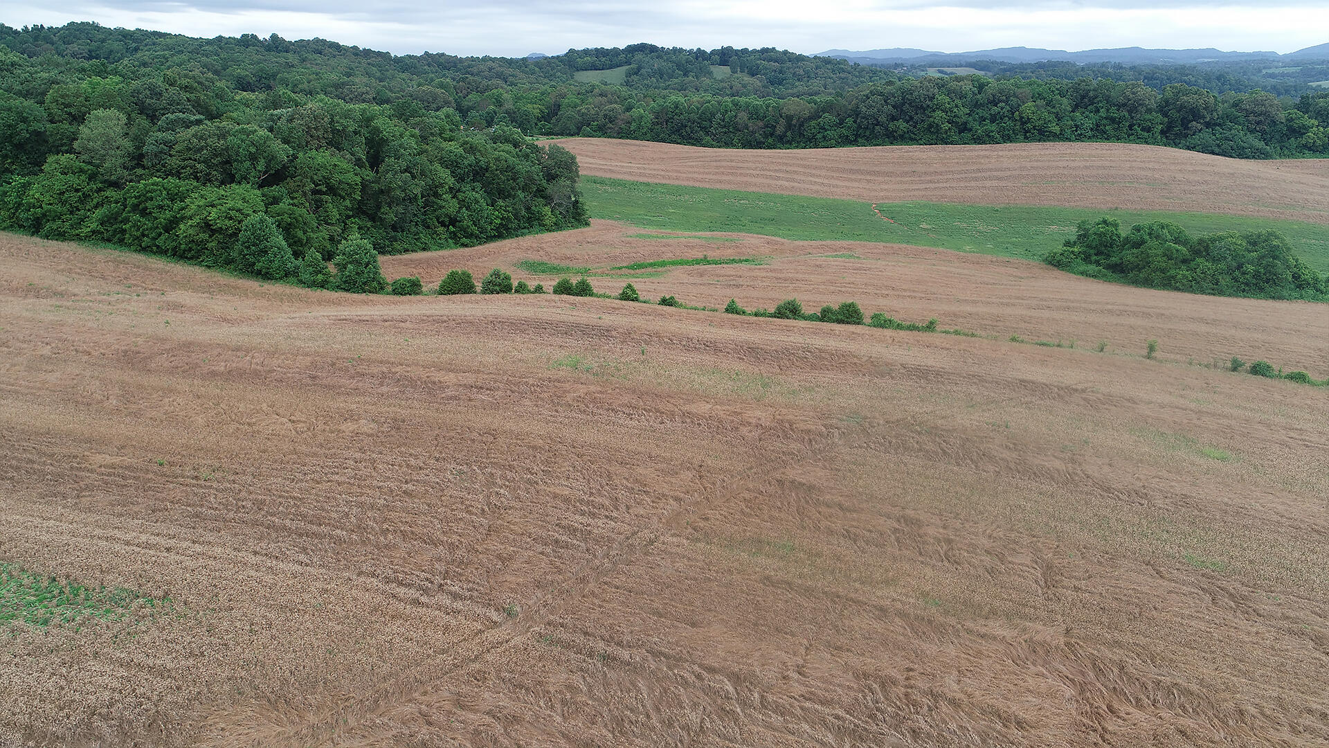 Noe Road New Market, TN 37820 - Photo 22 of 32 NoahRoad-21