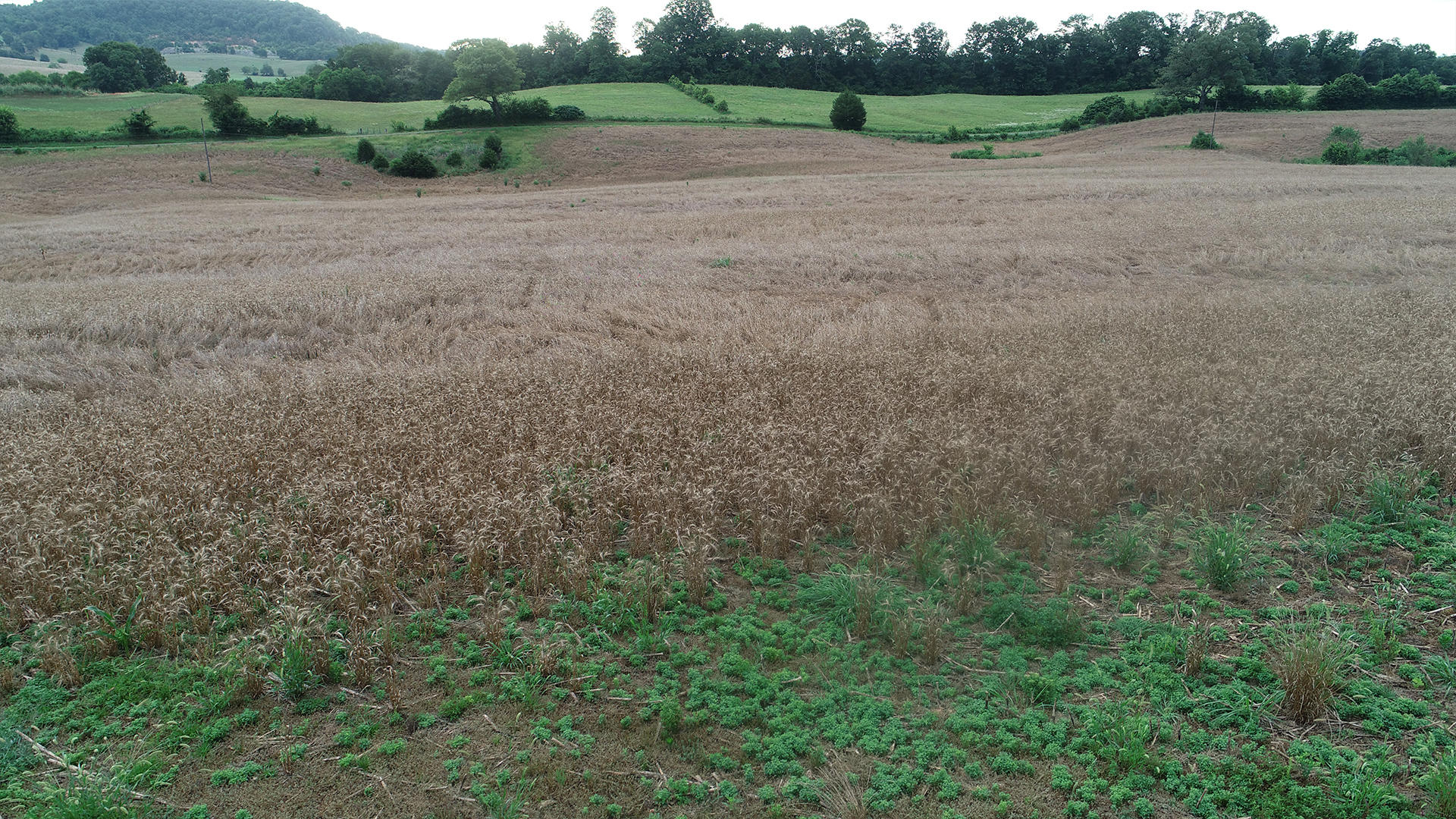 Noe Road New Market, TN 37820 - Photo 24 of 32 NoahRoad-23