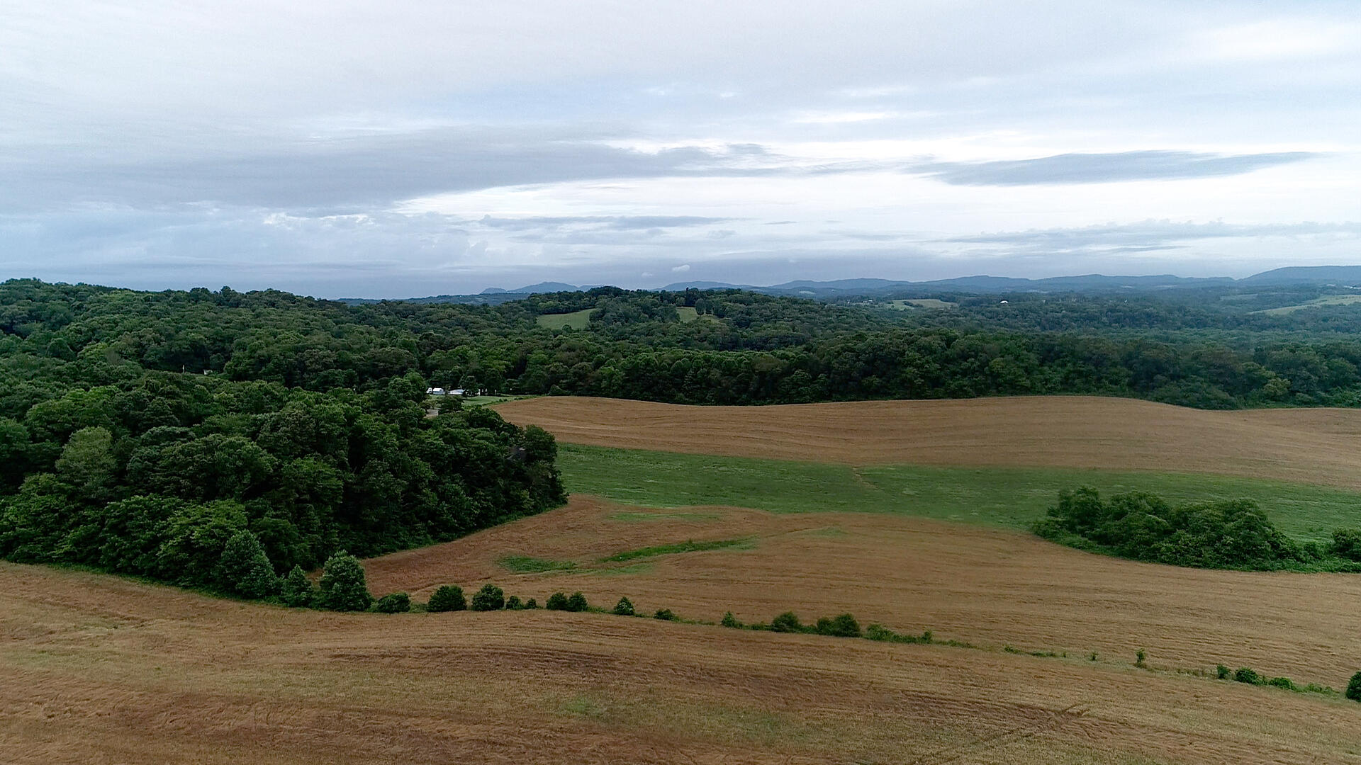 Noe Road New Market, TN 37820 - Photo 26 of 32 Panorama1
