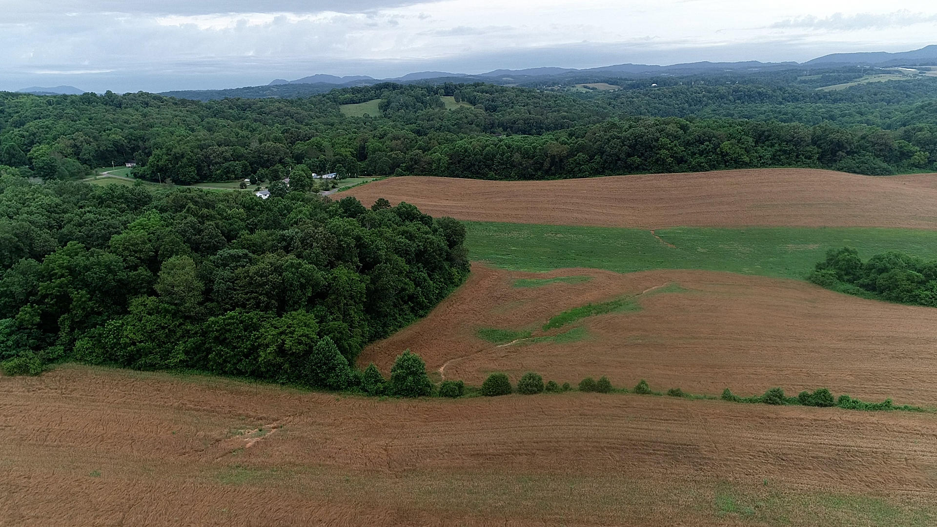 Noe Road New Market, TN 37820 - Photo 31 of 32 WheatForestGrove-1