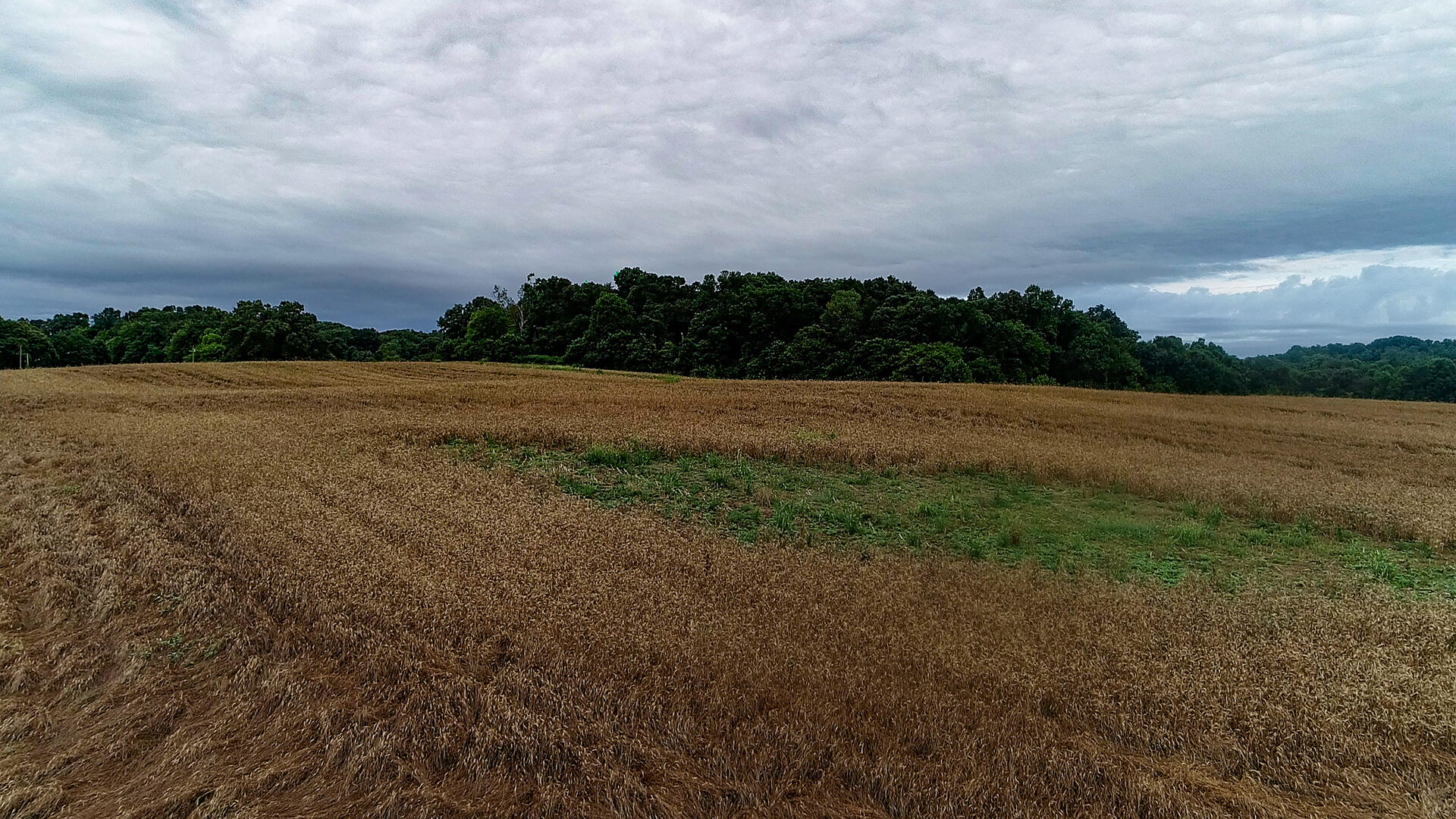 Noe Road New Market, TN 37820 - Photo 32 of 32 WheatForestGrove-2