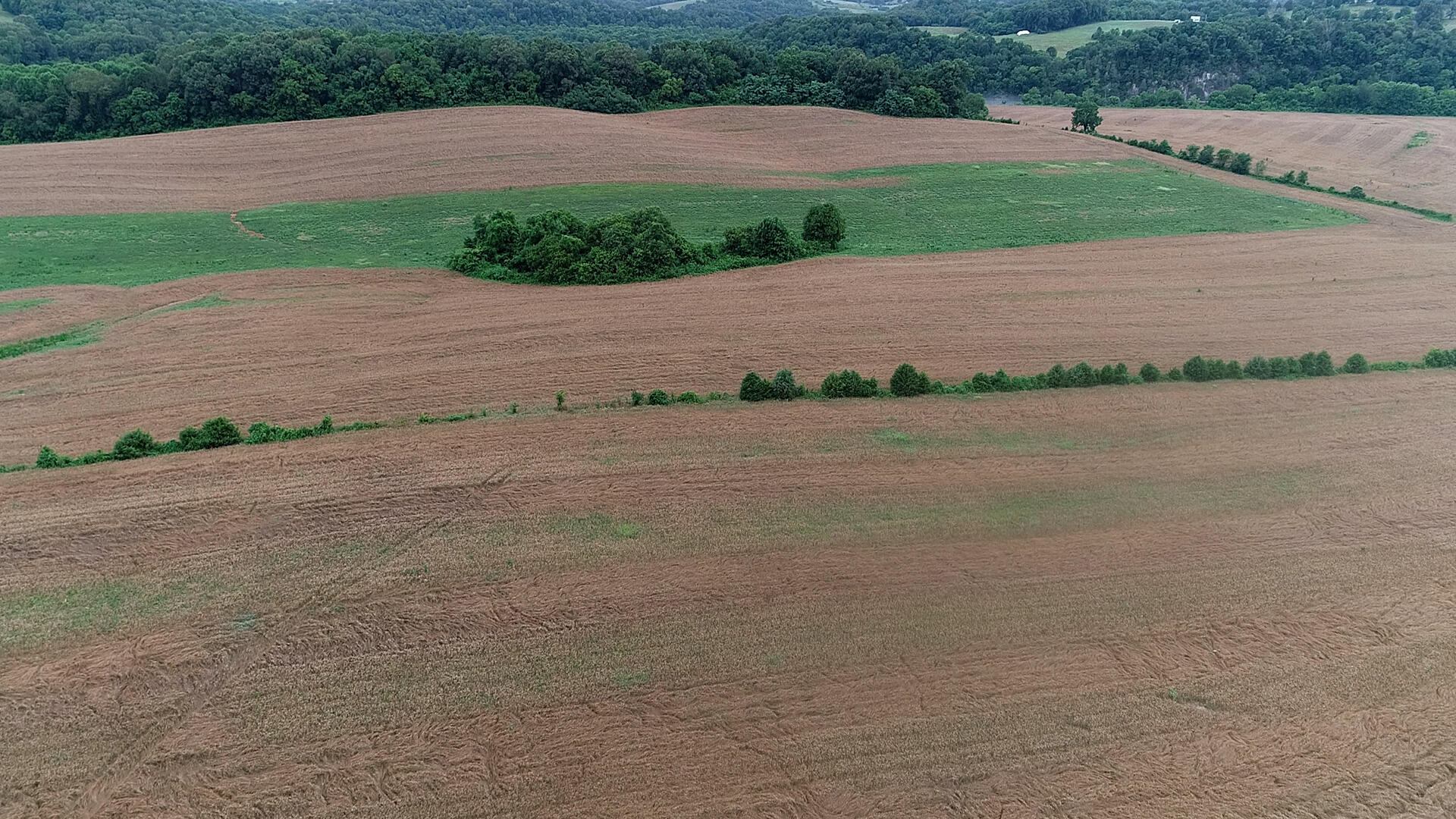 Noe Road New Market, TN 37820 - Photo 5 of 32 Aerialb-7-16