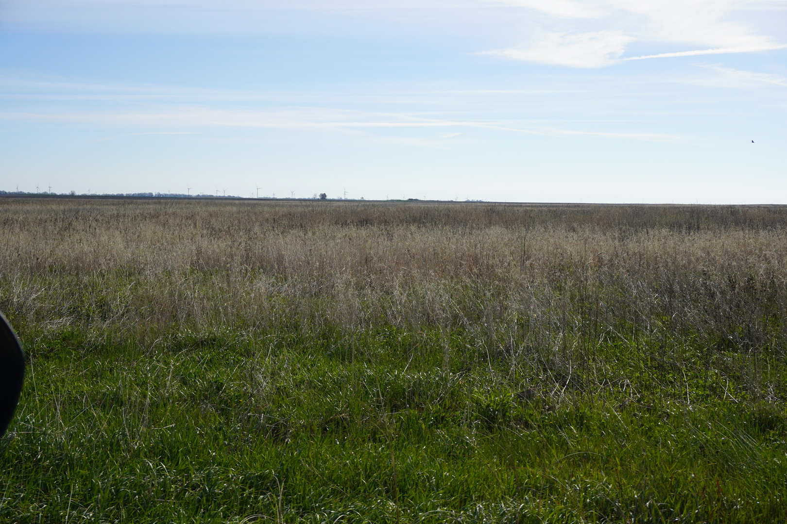 102 Acres /- East 1900 North Road Cullom, IL 60929 - Photo 11 of 16