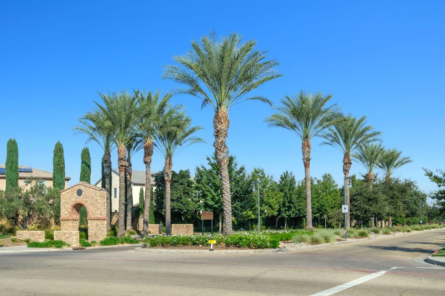 3482 Elevations Way Clovis, CA 93619 - Photo 28 of 29 a view of a palm trees front of house