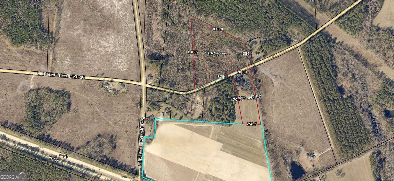 0 Lloyd Hester Road East Dublin, GA 31027 - Photo 1 of 4