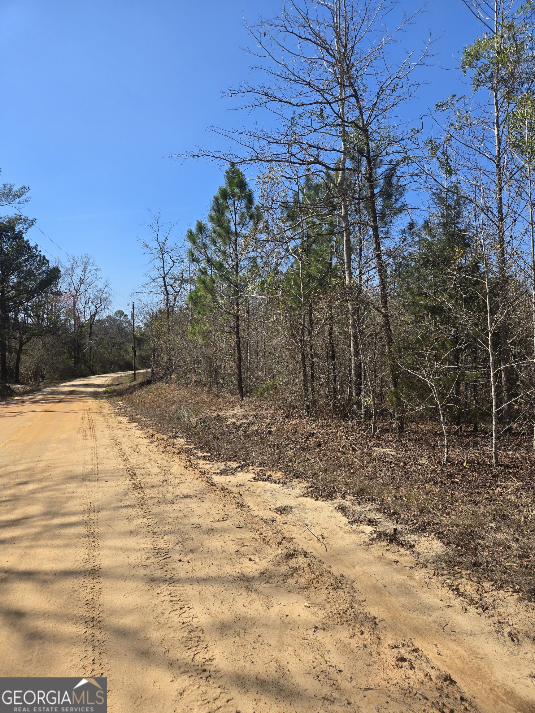 0 Lloyd Hester Road East Dublin, GA 31027 - Photo 3 of 4