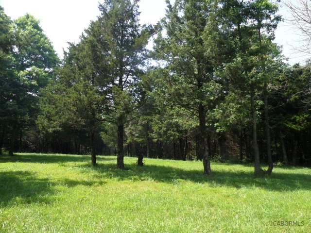 6 Nichols Ridge Fulton, MO 65251 - Photo 6 of 6