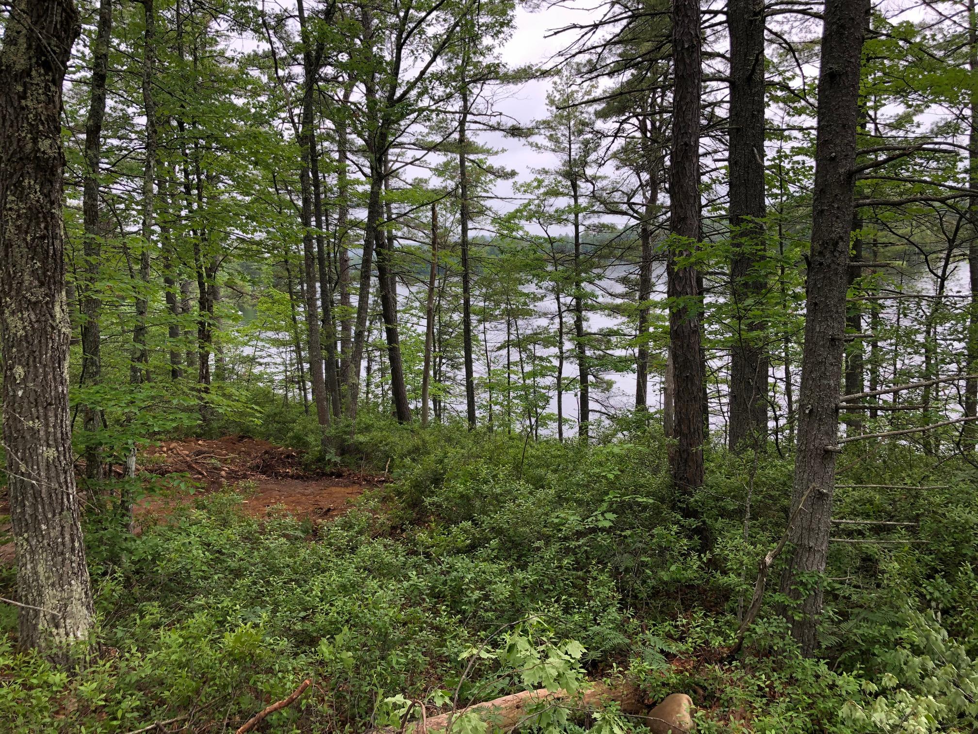 26-acres Acton Ridge Road Acton, ME 04001 - Photo 4 of 10 5FFFB950-C518-4D82-AFB8-F53769077095