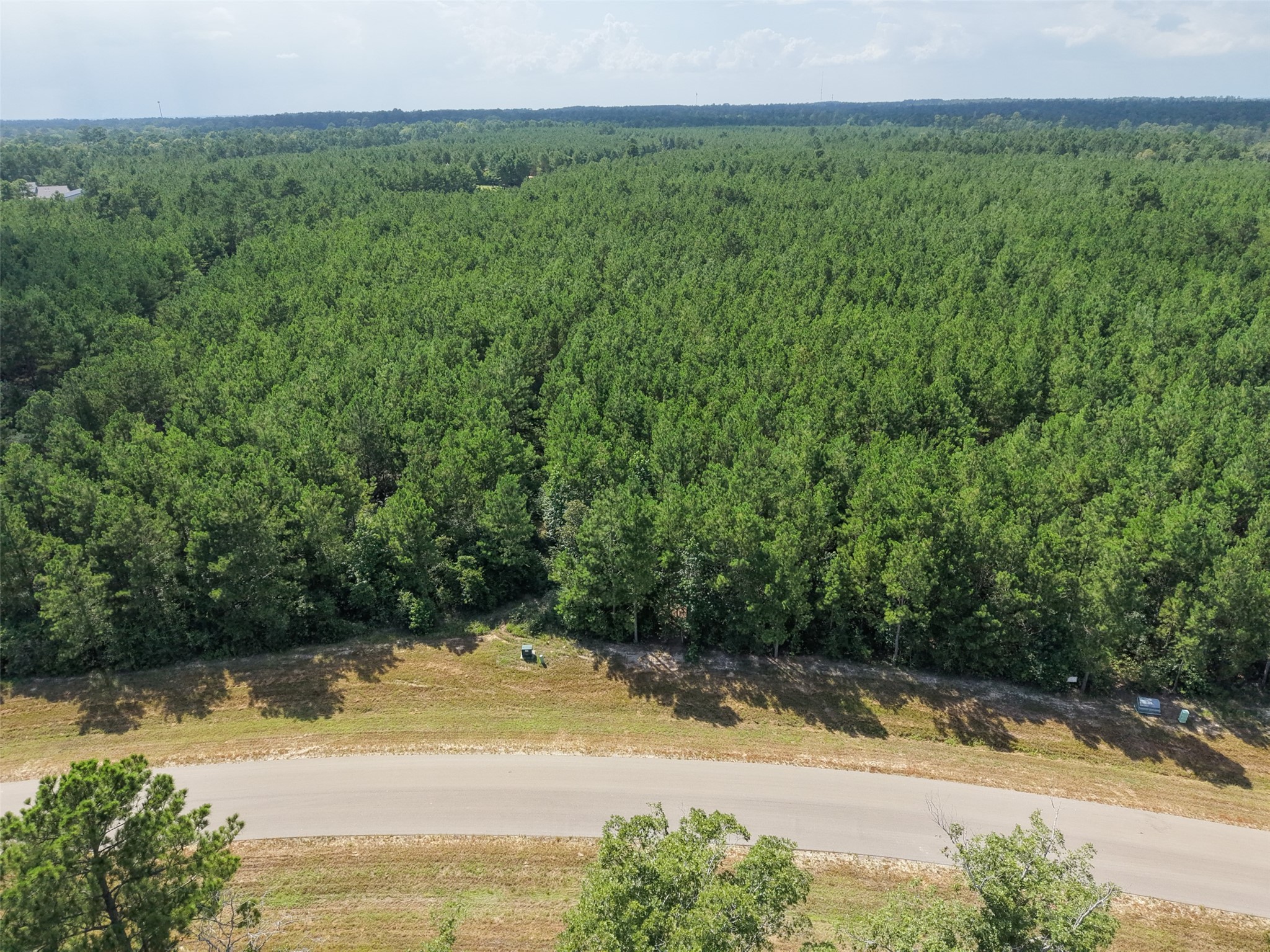 15785 Woodlife Road Willis, TX 77378 - Photo 12 of 12