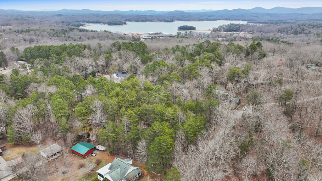 Lot 5 Red Bird Blue Ridge Blue Ridge, GA 30513 - Photo 10 of 16 Gallery Image 10