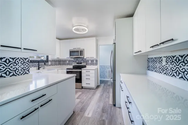 a kitchen with a sink a stove and refrigerator