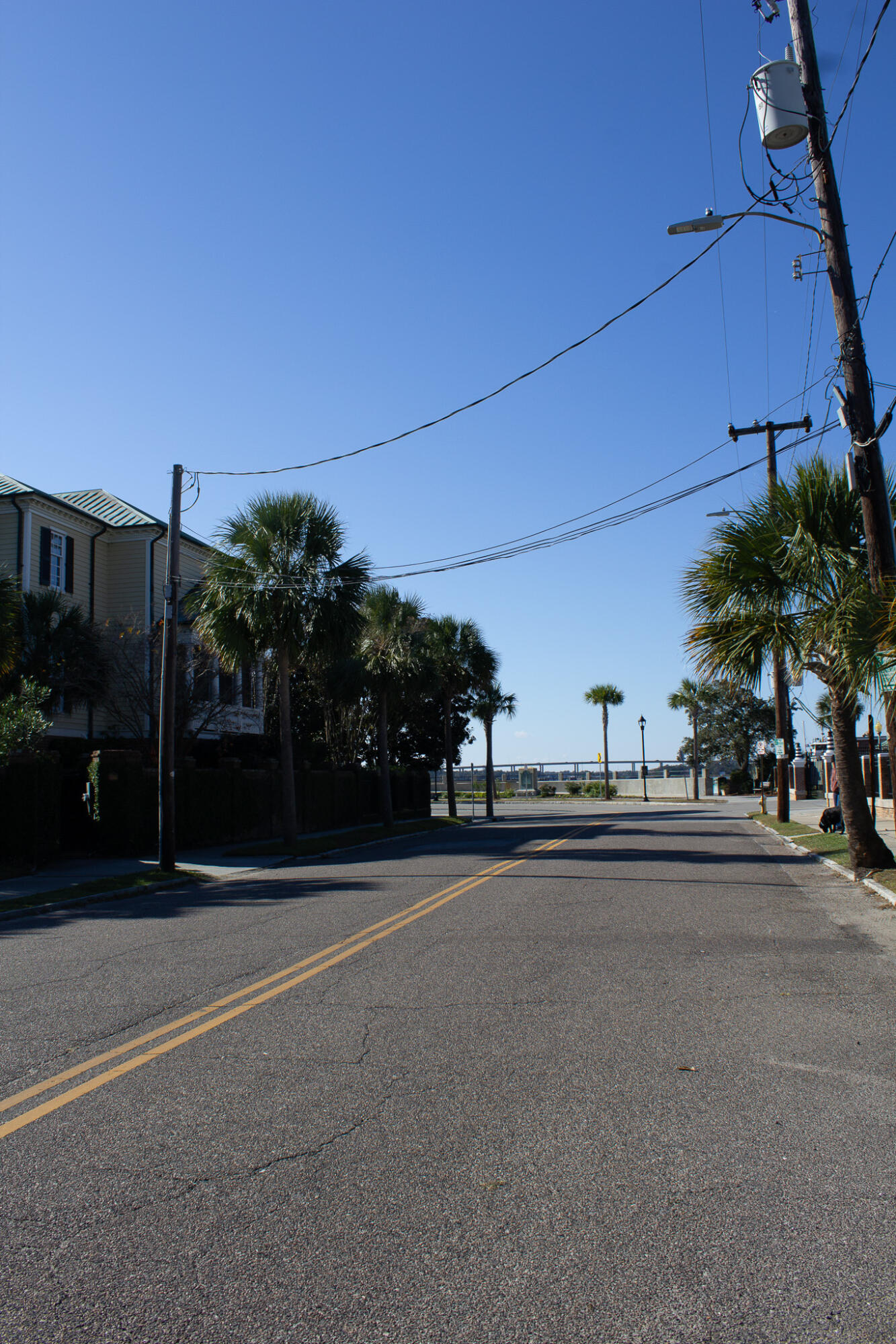195 Tradd Street, Unit B Charleston, SC 29401 - Photo 38 of 41 IMG_8435