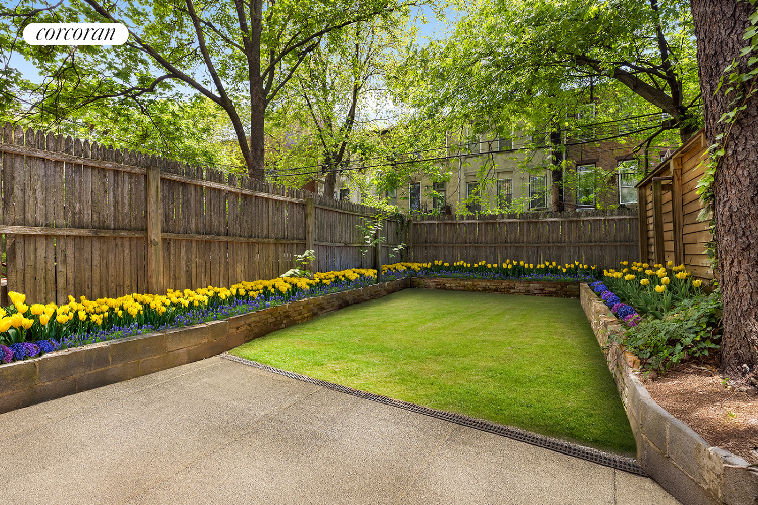 416 Halsey Street Brooklyn, NY 11233 - Photo 16 of 17 a view of a backyard