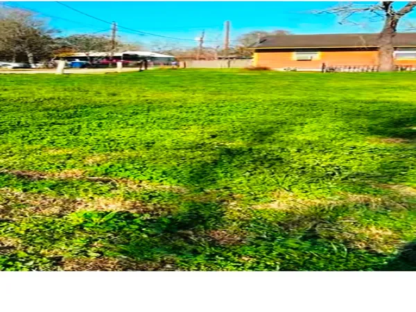 a view of a green field