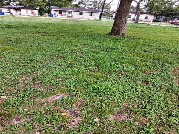 a view of field with trees