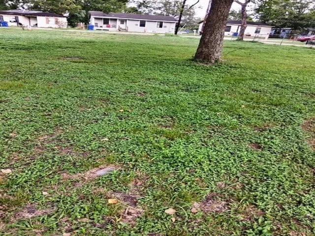 a view of field with trees