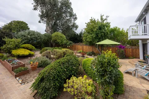 a view of a garden with an umbrella and a bench