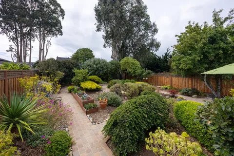 a view of a backyard with plants and lake view