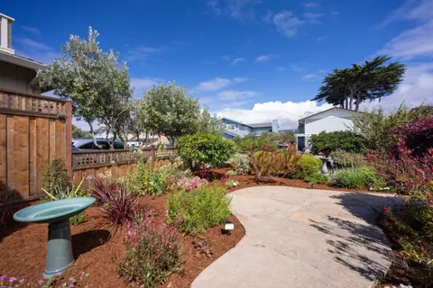 a view of a backyard with potted plants and large trees