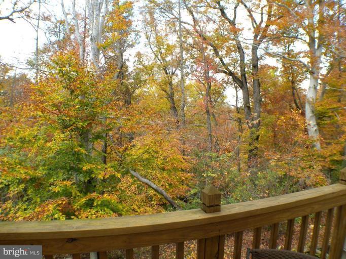 8118 Mississippi Road Laurel, MD 20724 - Photo 16 of 27 Deck - View from