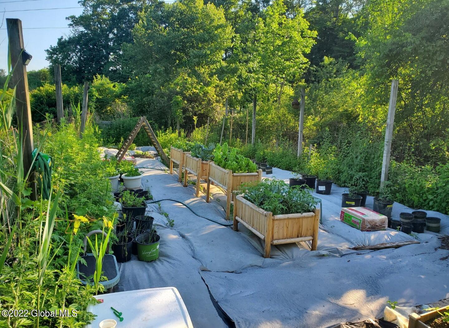 2569 Phillips Road Castleton-on-Hudson, NY 12033 - Photo 46 of 59 Vegetable Garden Space