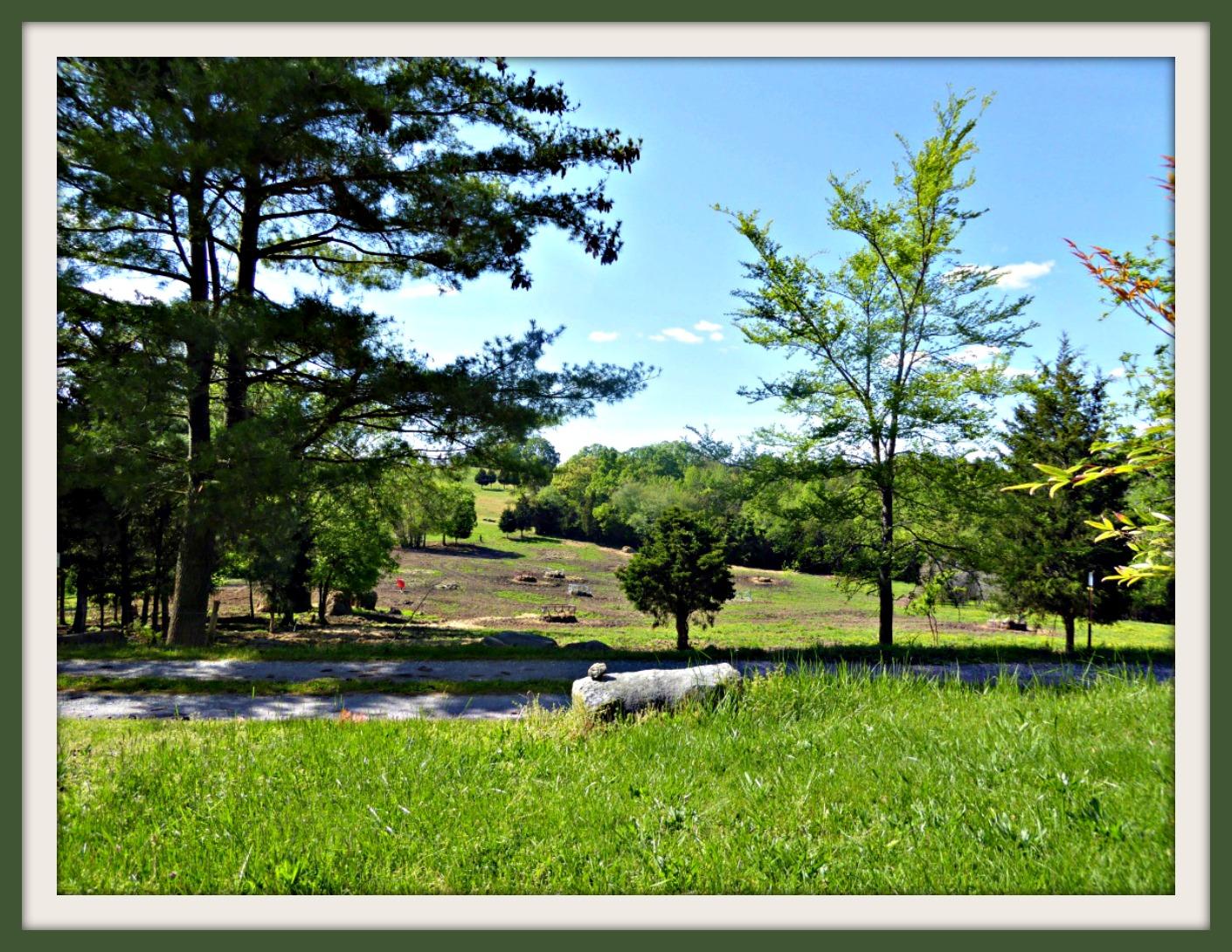 Lot 5 Niles Road Dandridge, TN 37725 - Photo 1 of 8 P1010963f