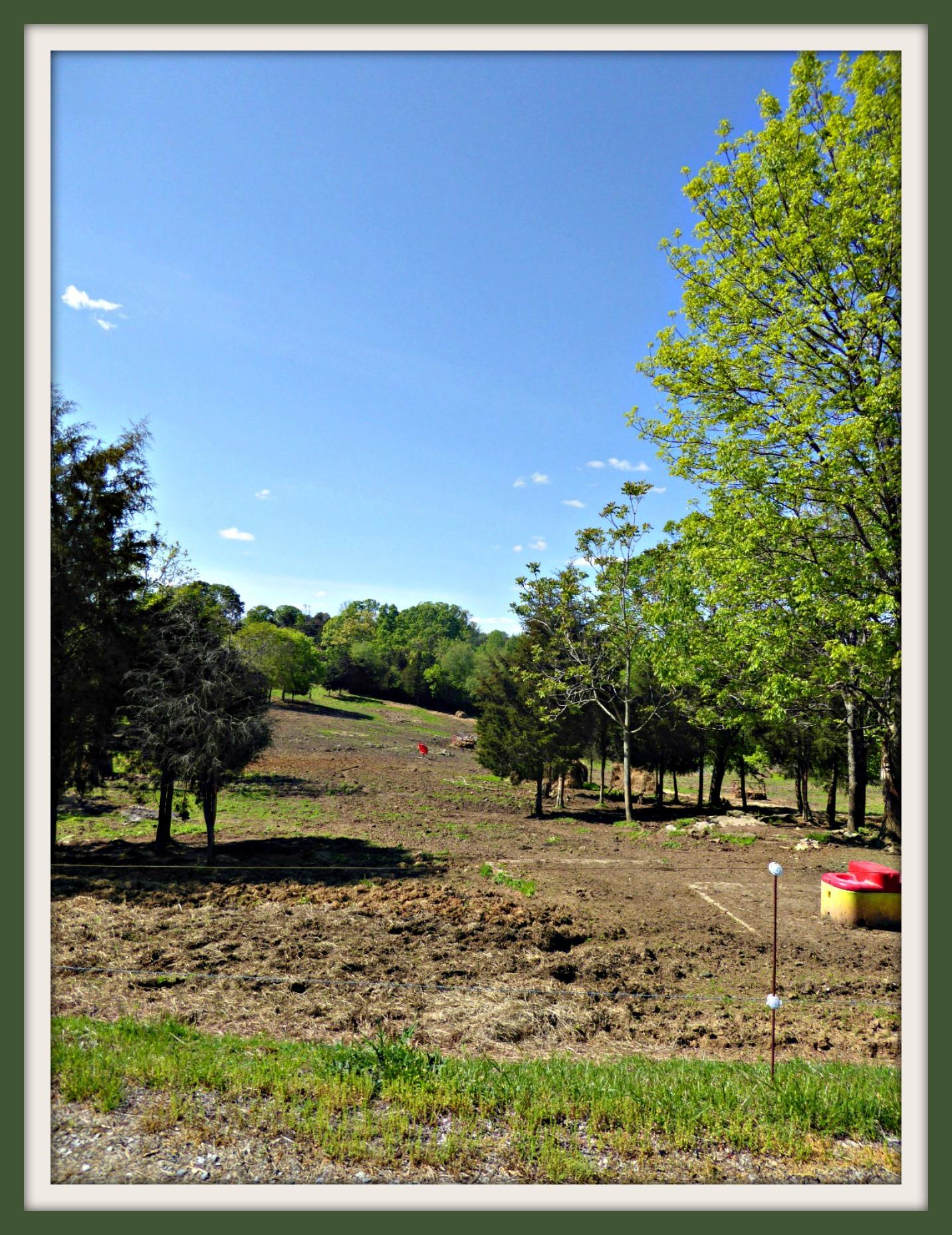 Lot 5 Niles Road Dandridge, TN 37725 - Photo 4 of 8 P1010962f