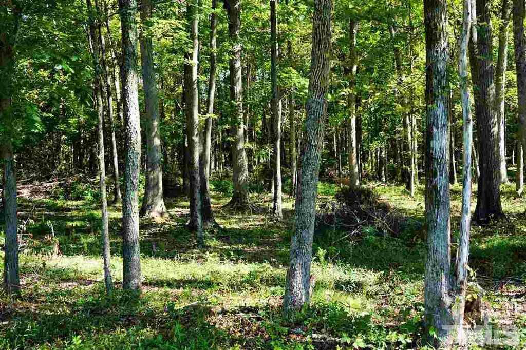 9037 Charlie Winston Road Bullock, NC 27507 - Photo 19 of 25 Gallery Image 19