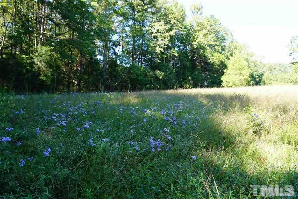 9037 Charlie Winston Road Bullock, NC 27507 - Photo 4 of 25 Gallery Image 4