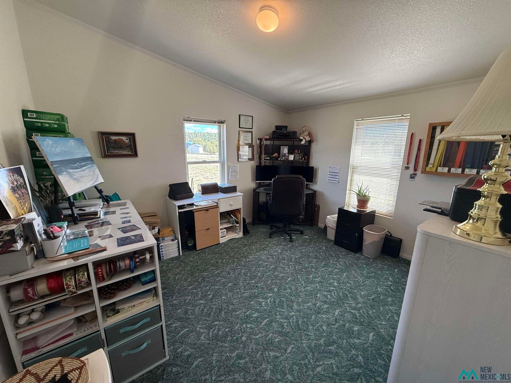 16 Overlook Road Los Ojos, NM 87551 - Photo 28 of 39 Gallery Image 28