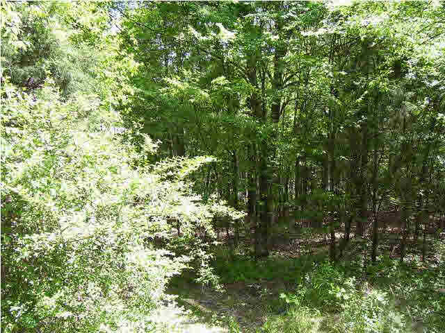 110 Perry Williams Road Madison, MS 39110 - Photo 1 of 1 Photo 1