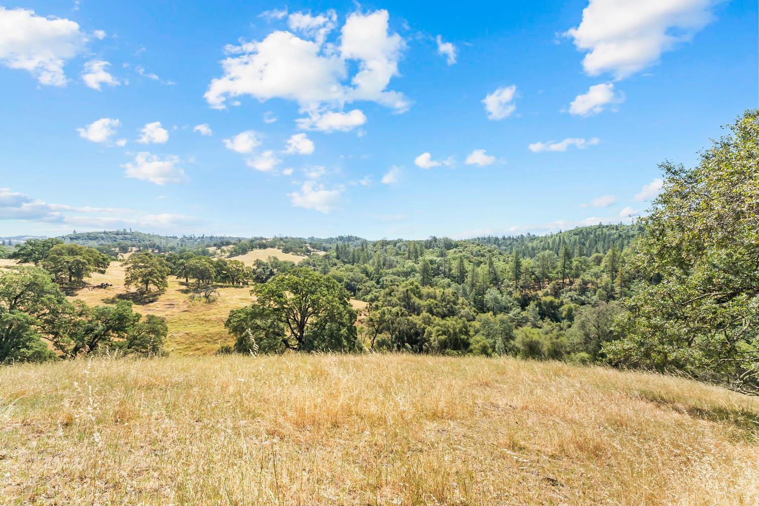 12850 Fiddletown Road Plymouth, CA 95669 - Photo 24 of 88