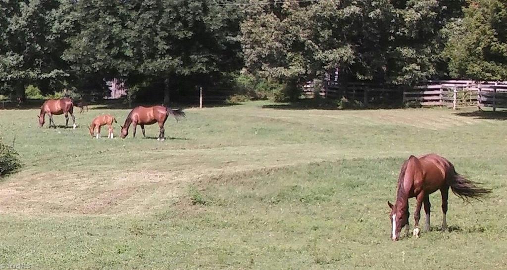 469 Justamere Farm Road Greensboro, NC 27455 - Photo 22 of 30
