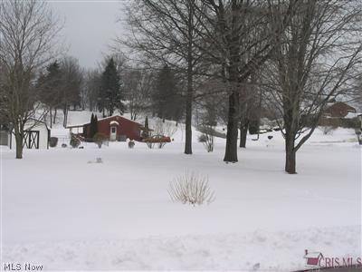999999 Morrow Road Kent, OH 44240 - Photo 1 of 1 View from front of Morrow Rd.
