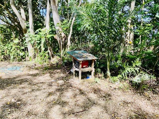 125 Uwala Road Hana, HI 96713 - Photo 25 of 29 a backyard of a house with table and chairs