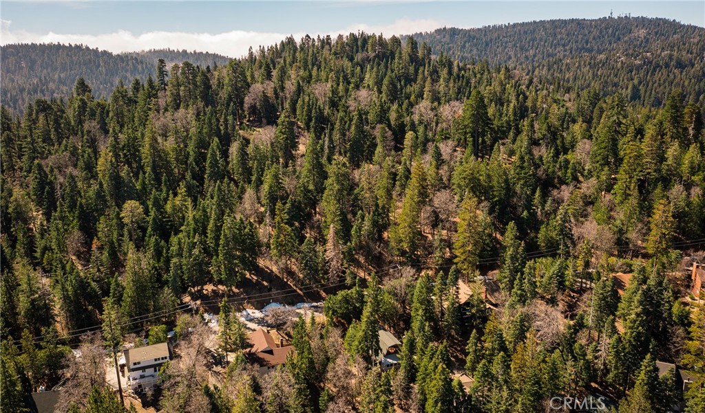 26980 Everest Road Lake Arrowhead, CA 92391 - Photo 41 of 49 a view of a city with lush green forest
