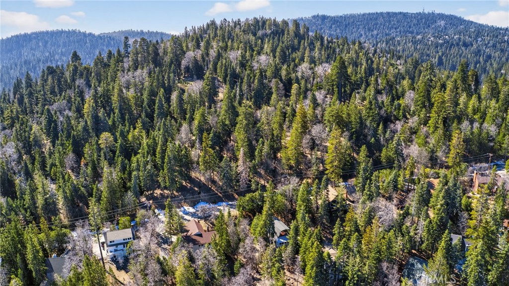 26980 Everest Road Lake Arrowhead, CA 92391 - Photo 42 of 49